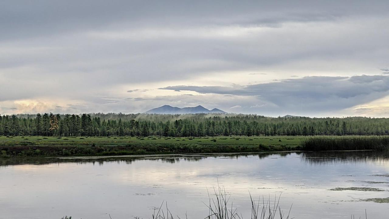 Backland Hotel Уилямс Екстериор снимка
