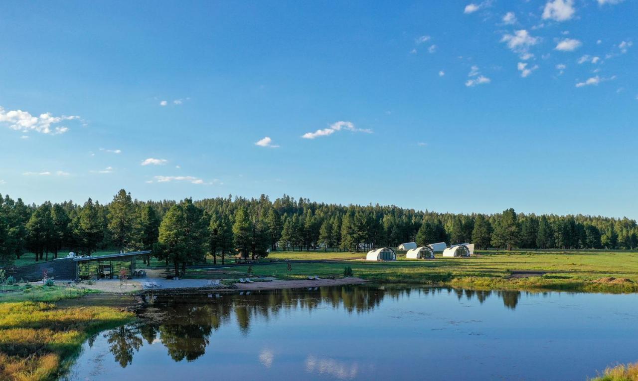 Backland Hotel Уилямс Екстериор снимка