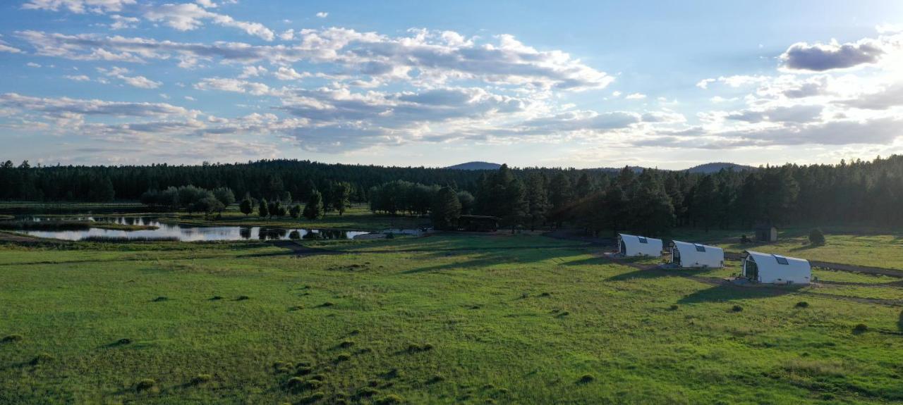 Backland Hotel Уилямс Екстериор снимка